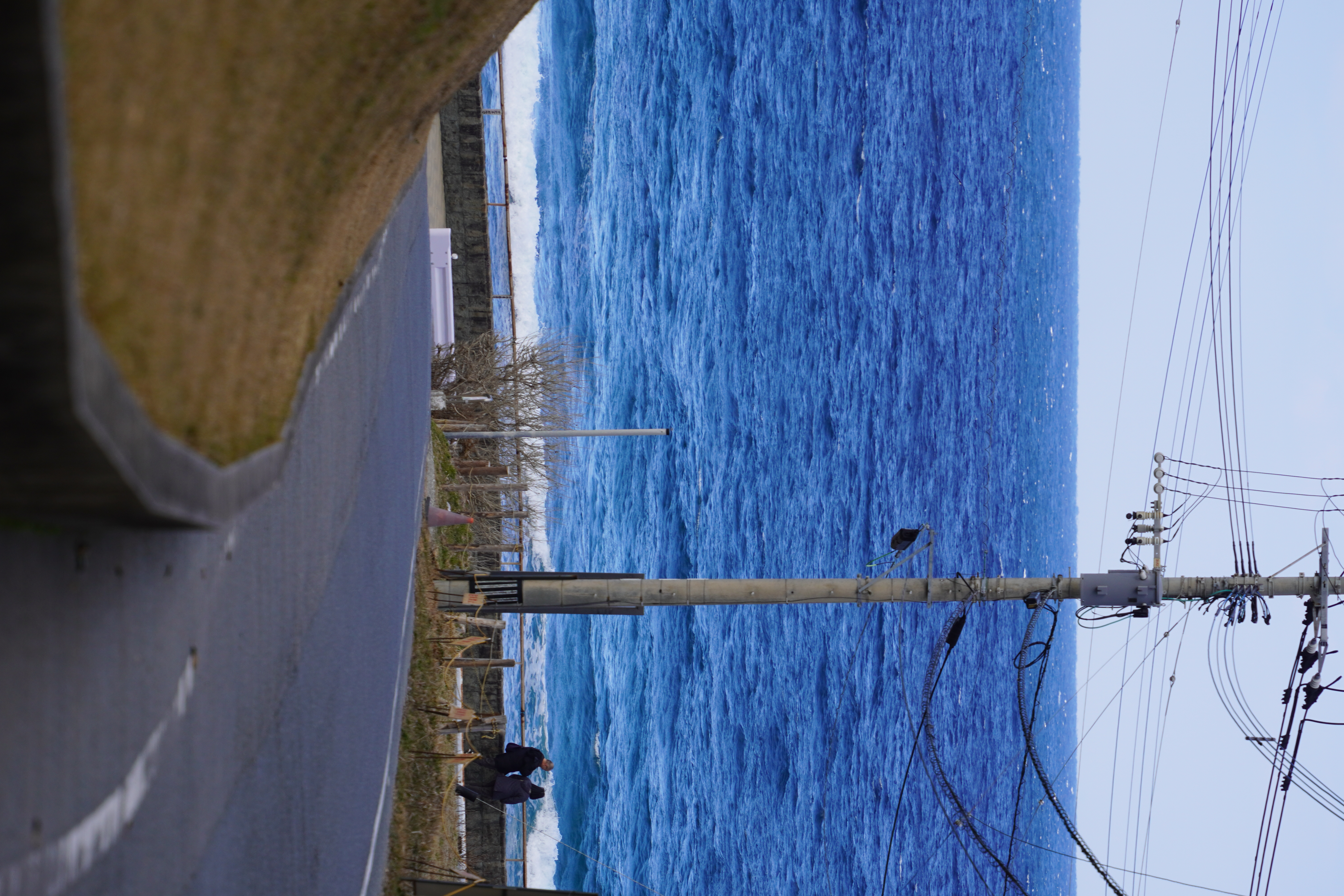 Portrait sample (2:3)