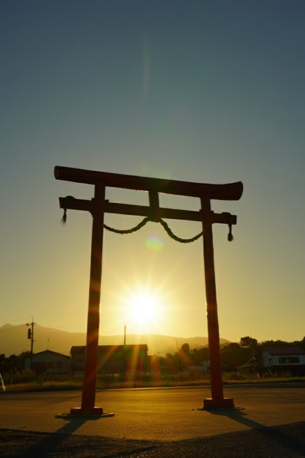 Portrait sample (2:3)