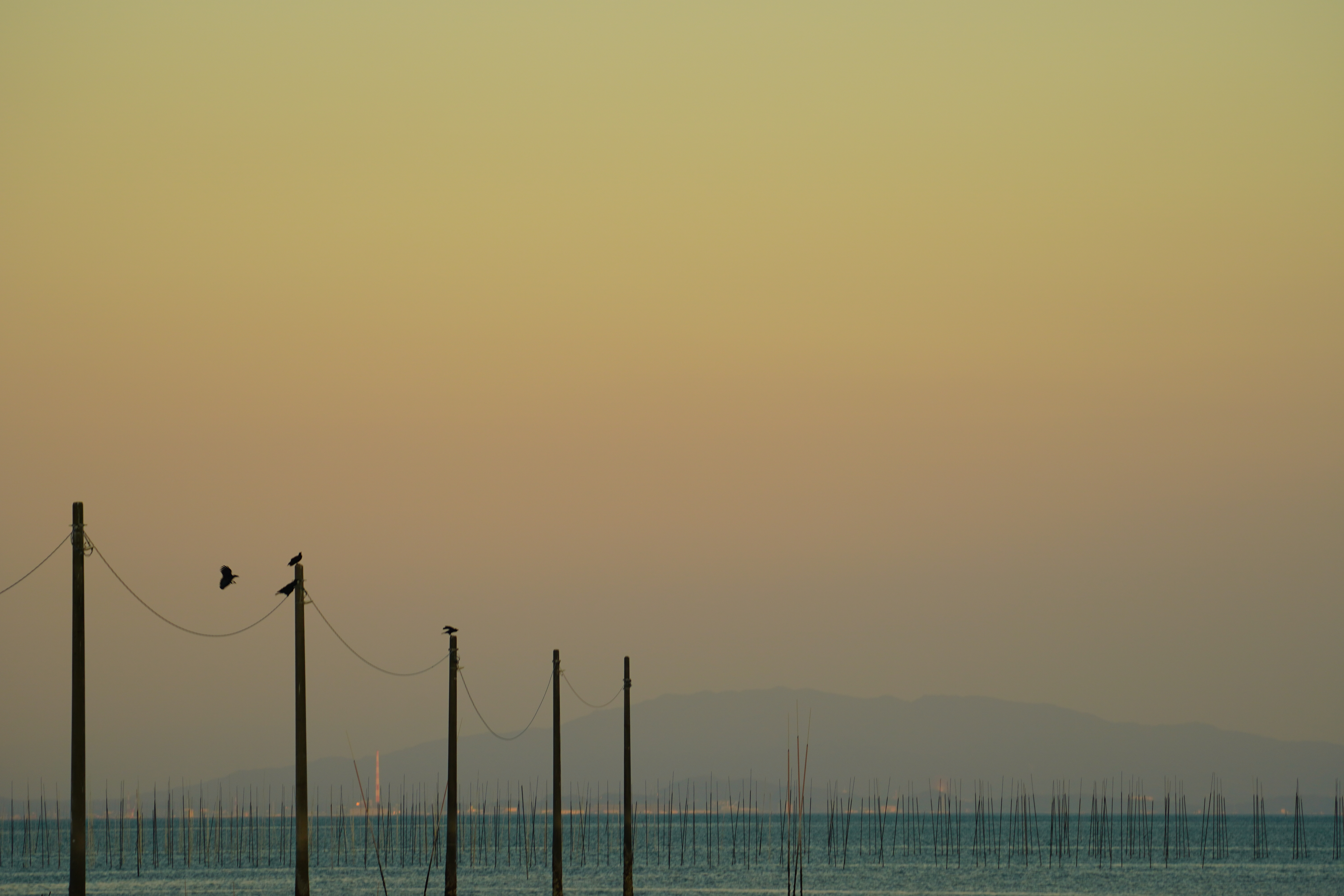 Portrait sample (3:2)