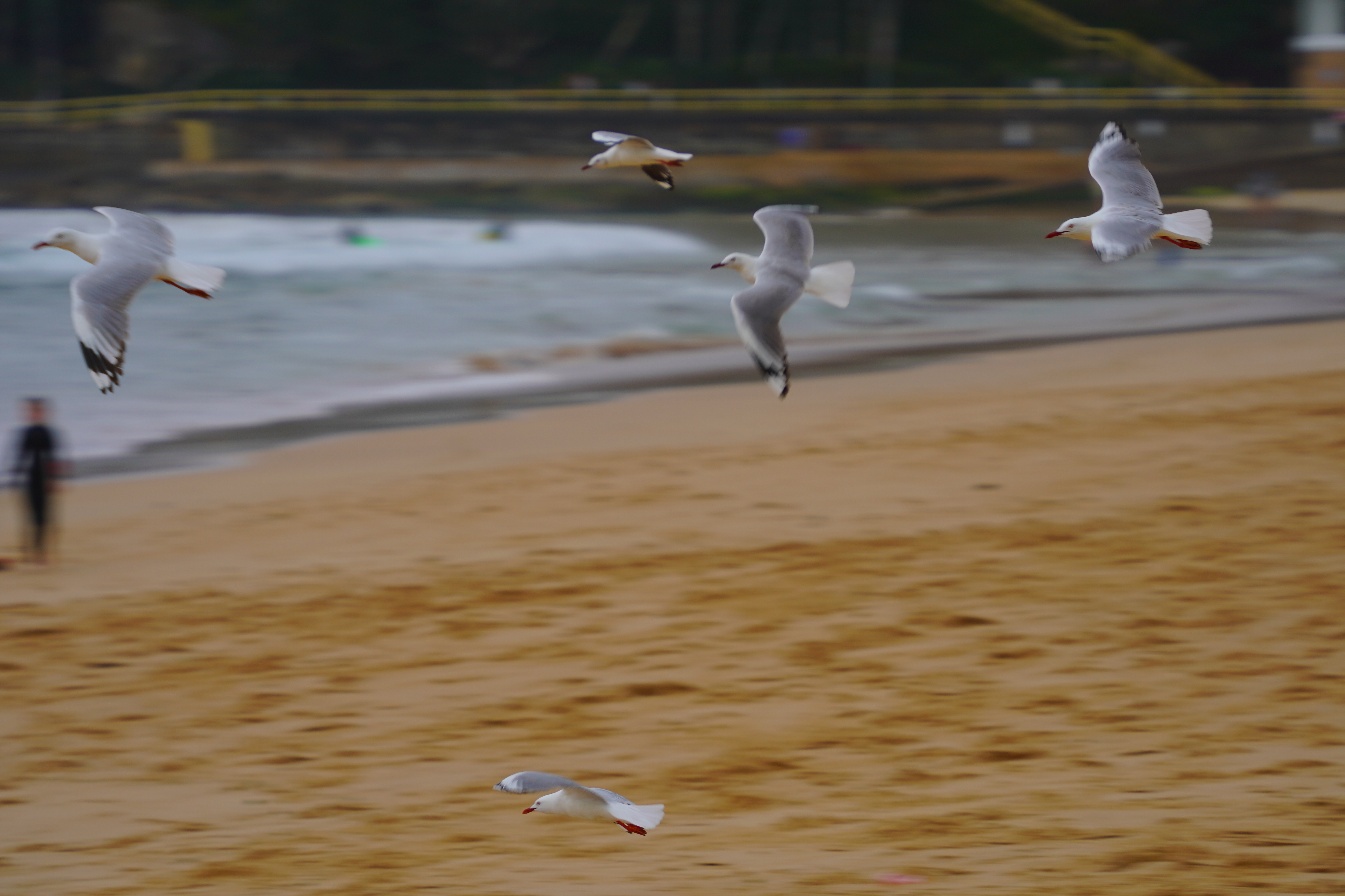 Portrait sample (3:2)