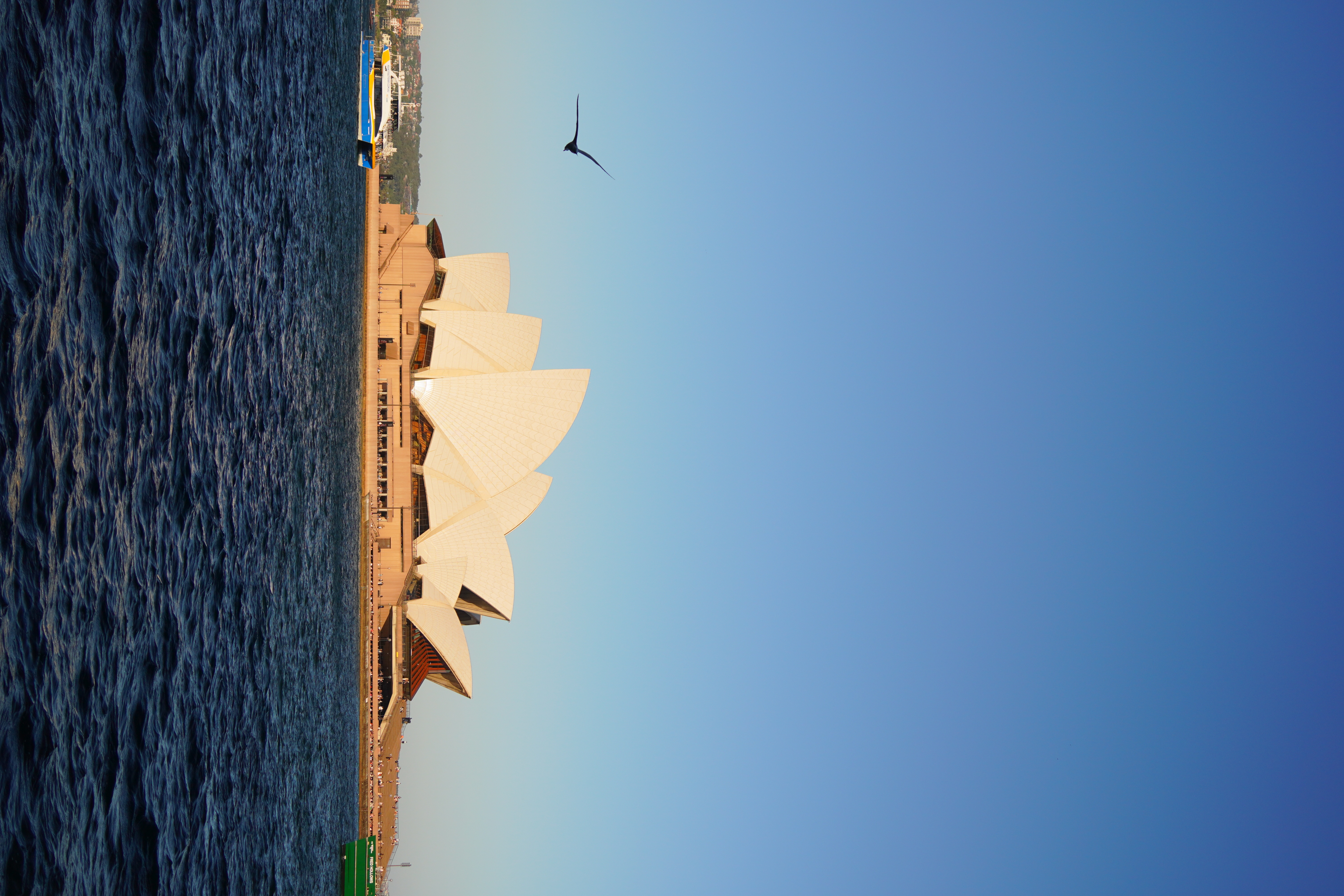 Portrait sample (2:3)