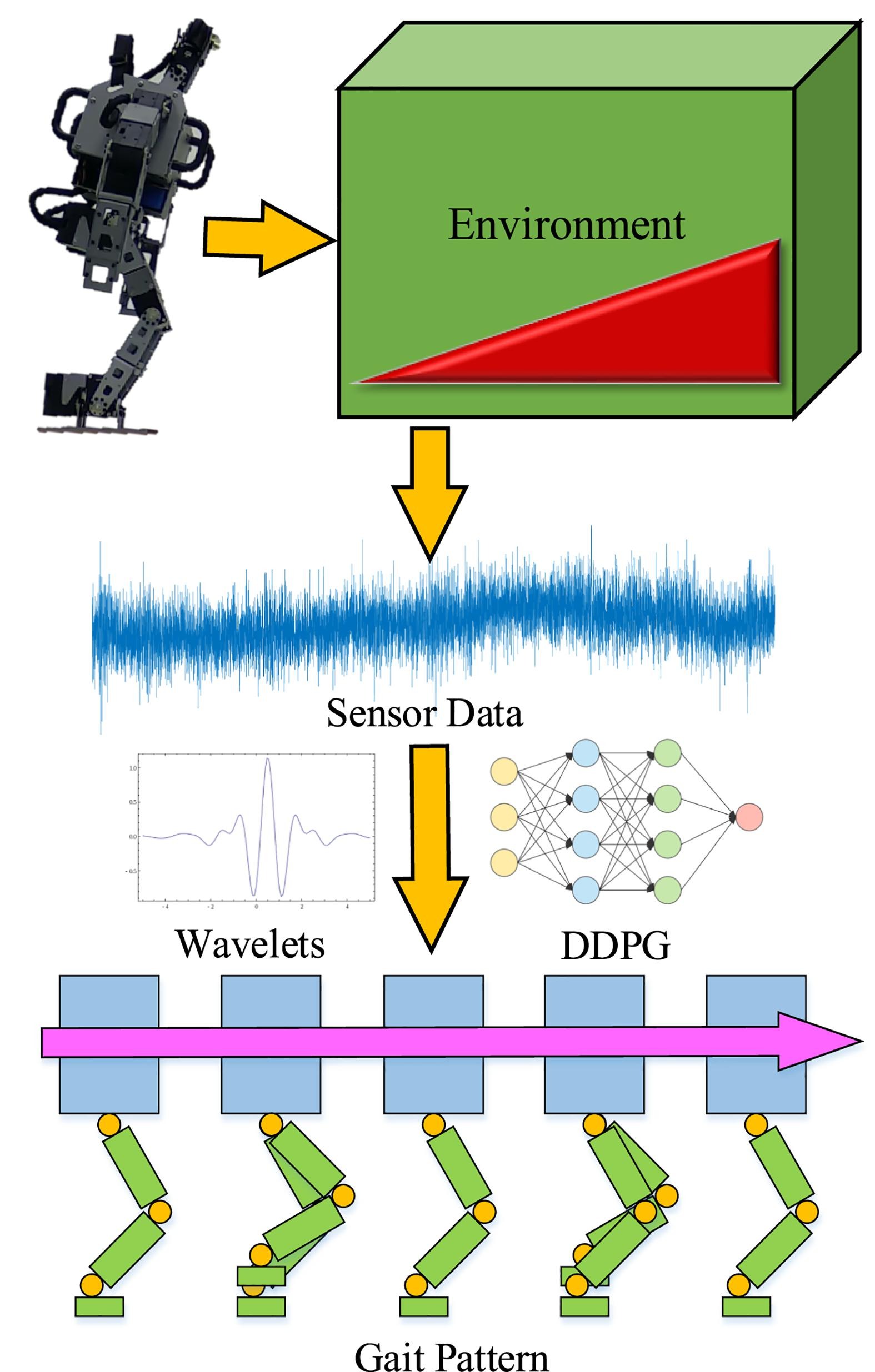 Sequential sensor fusion-based W-DDPG gait controller of bipedal robots for adaptive slope walking