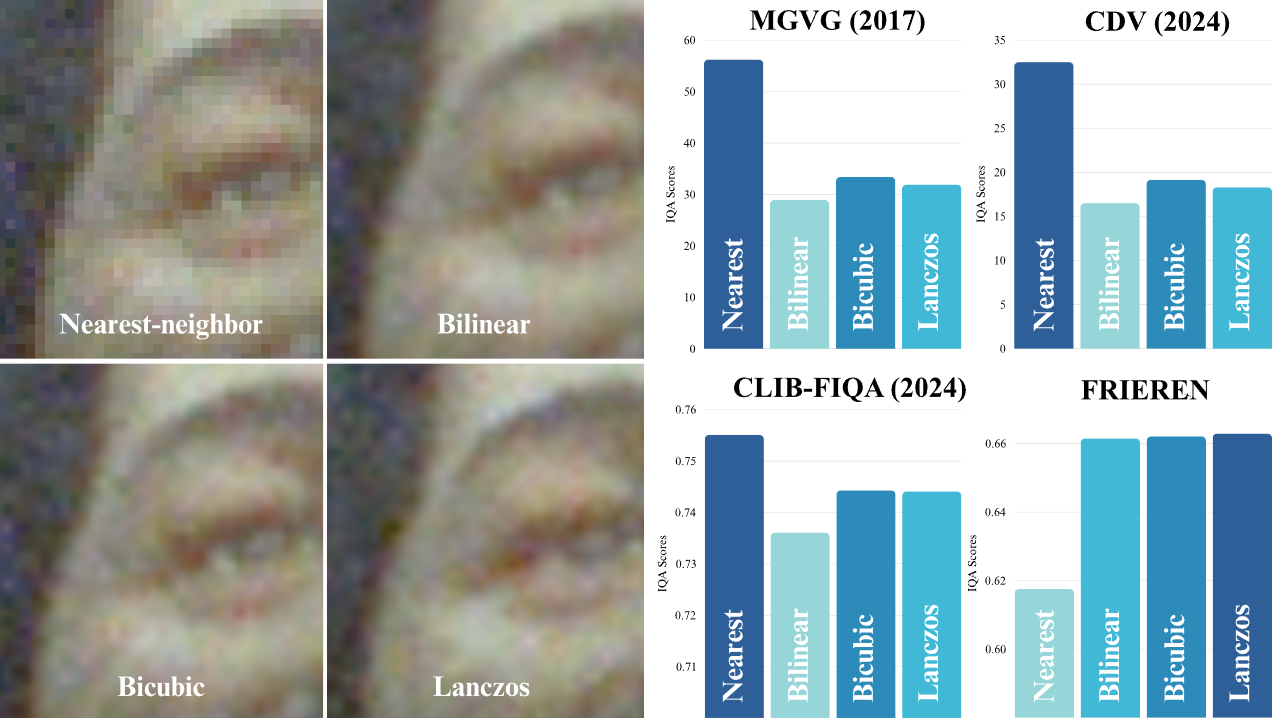 FRIEREN: Face Resizing Image Quality Evaluation via Robust Estimation of Image Naturalness